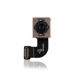 Camara Trasera Para iPhone 8 / SE (2020) (Calidad Premium)